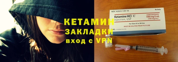 трава Ельня