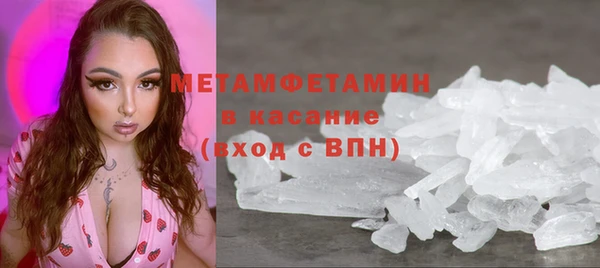 трава Ельня