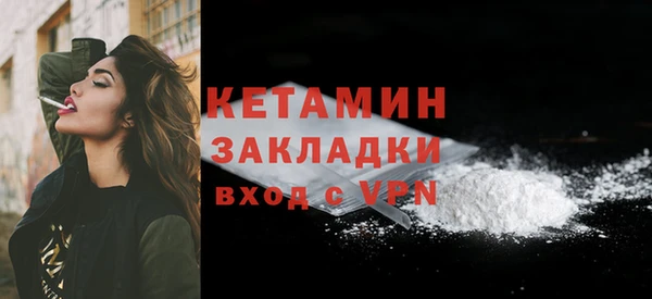 трава Ельня