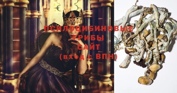 стафф Елизово