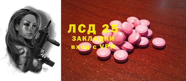 трава Ельня