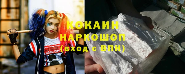 трава Ельня