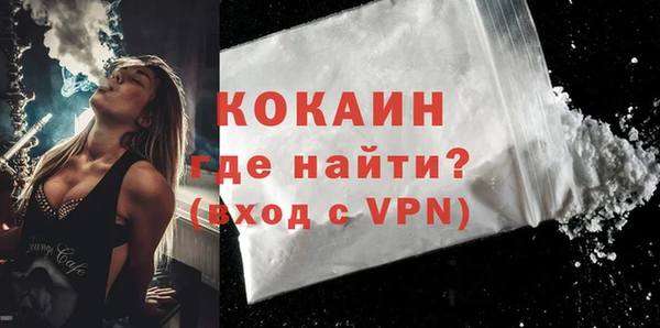 трава Ельня