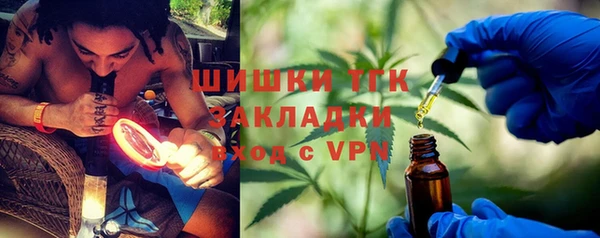 стафф Елизово