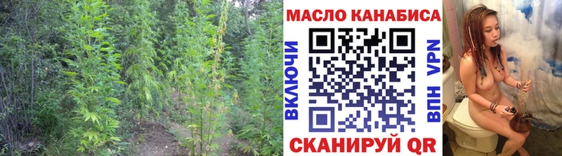 Купить закладки  Славянск-на-Кубани  ТГК гашишное масло 