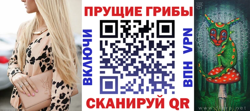 Купить Славянск-на-Кубани Галлюциногенные грибы Psilocybine cubensis